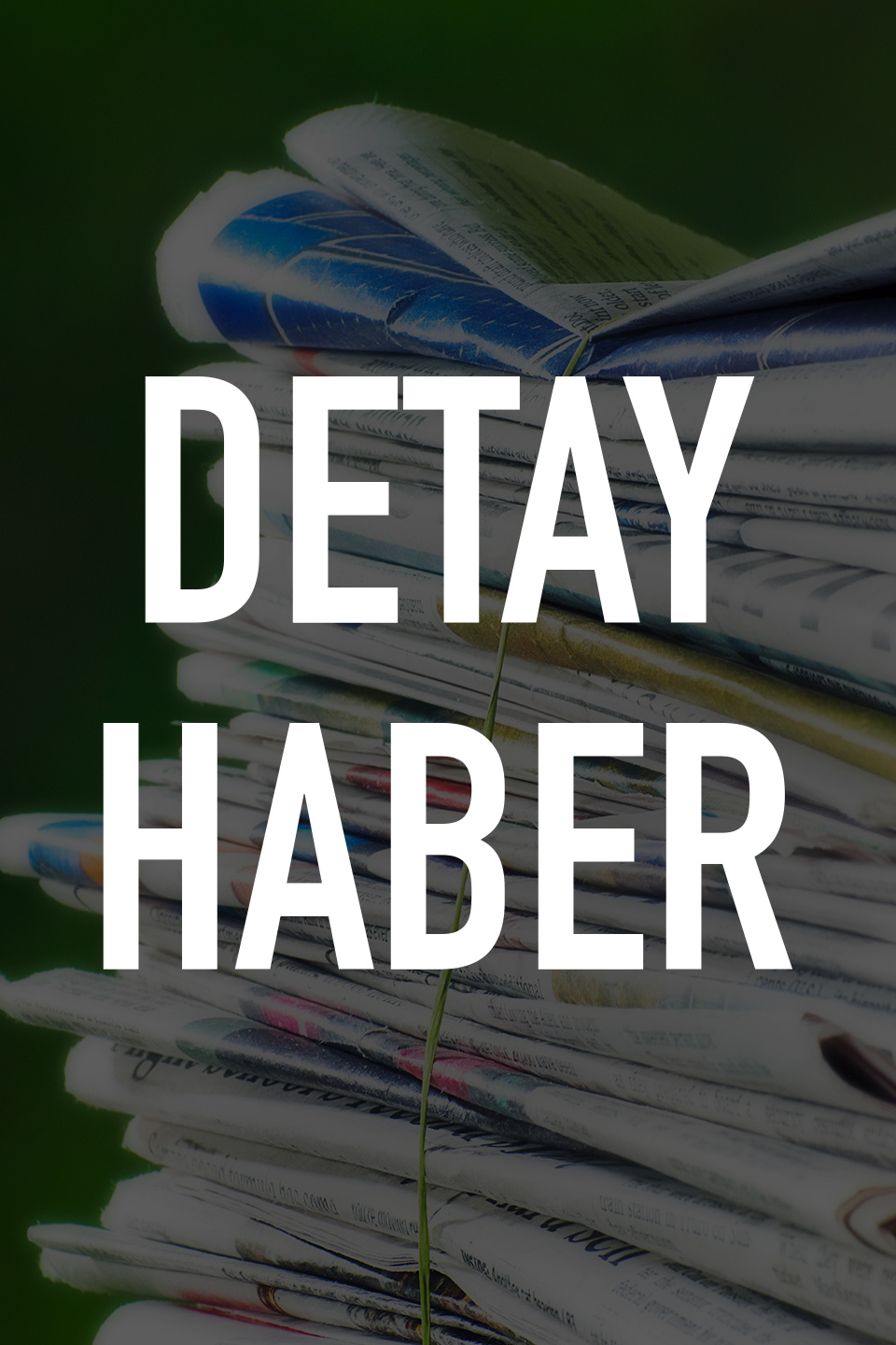 Detay Haber portada